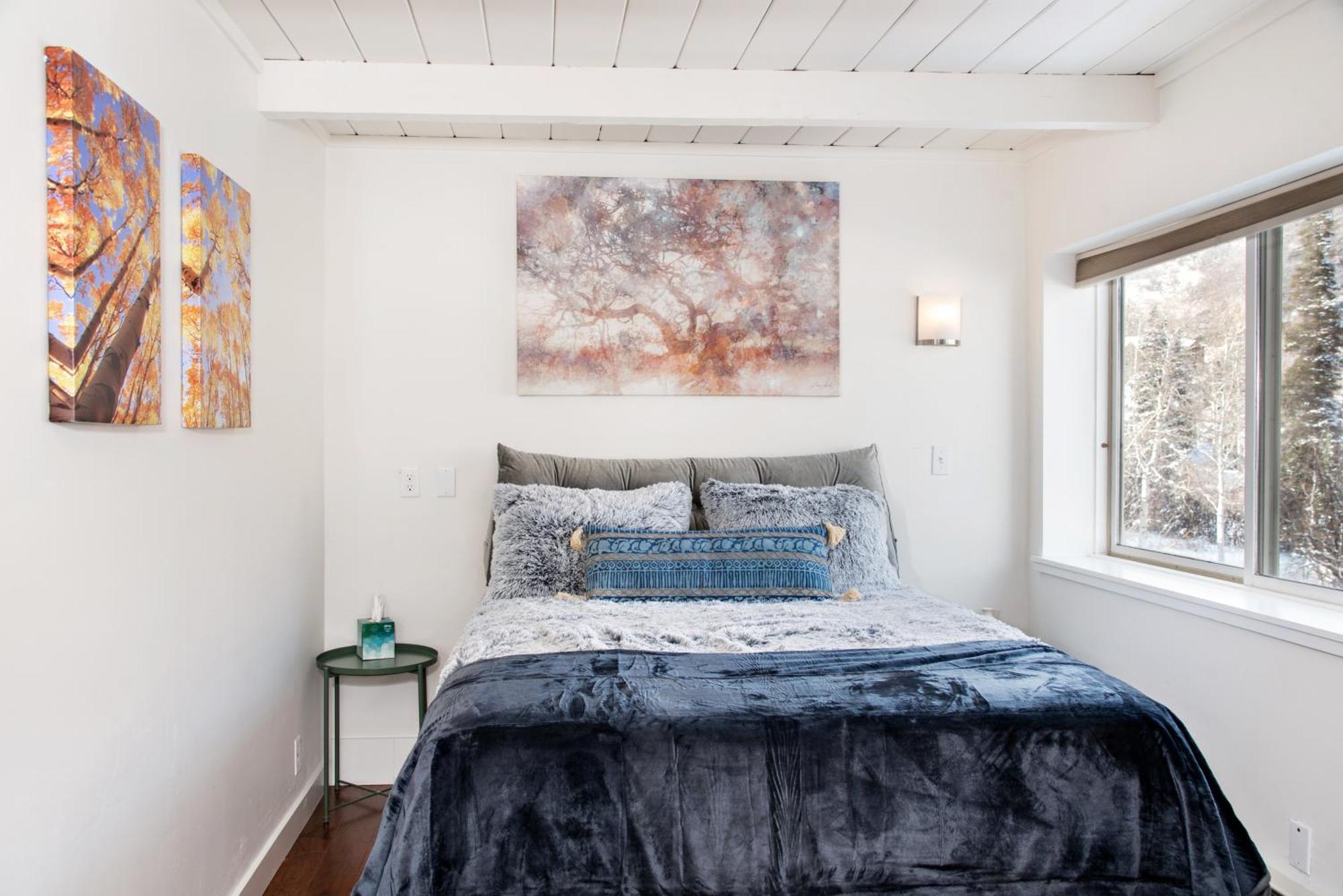 Willows Condos By Snowmass Vacations Snowmass Village Εξωτερικό φωτογραφία